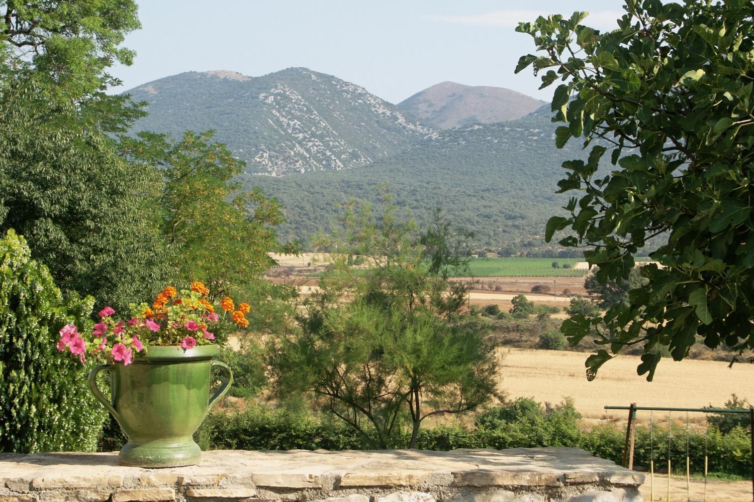 Отель Domaine De Blancardy Мулес-э-Босель Экстерьер фото